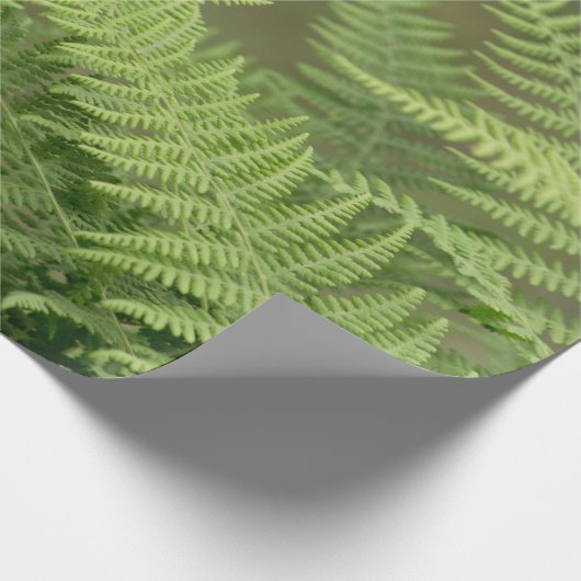 fernegroen cadeaupapier (Hoek)