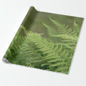 fernegroen cadeaupapier (Uitgerold)