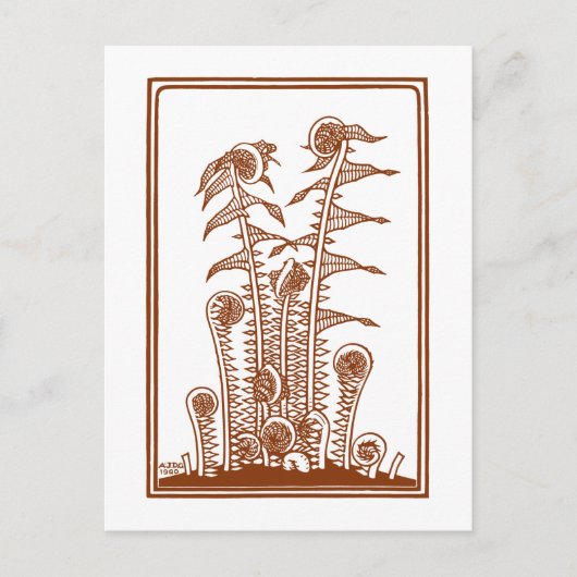 Ferns (1920) van Julie de Graag Woodcut Briefkaart (Voorkant)