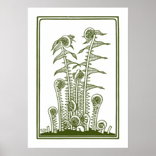Ferns (1920) van Julie de Graag Woodcut Poster