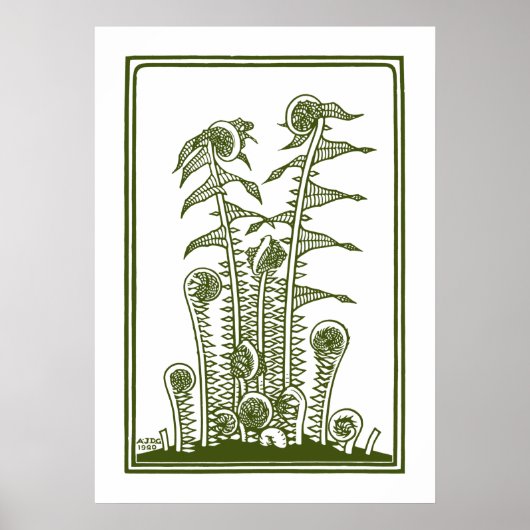 Ferns (1920) van Julie de Graag Woodcut Poster (Voorkant)