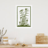 Ferns (1920) van Julie de Graag Woodcut Poster (Keuken)