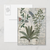 Ferns, Brambles en bloemen Briefkaart (Voorkant / Achterkant)