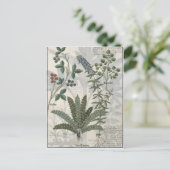 Ferns, Brambles en bloemen Briefkaart (Staand voorkant)