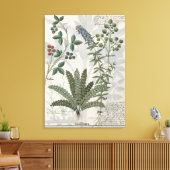 Ferns, Brambles en bloemen Canvas Afdruk (Insitu (Woonkamer))