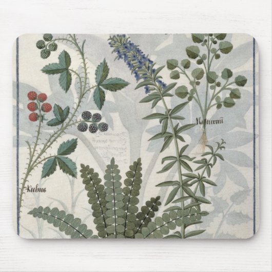 Ferns, Brambles en bloemen Muismat (Voorkant)
