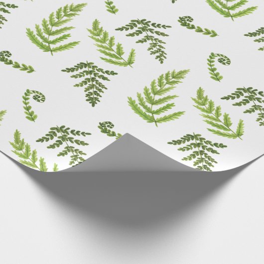 Ferns Cadeaupapier (Hoek)