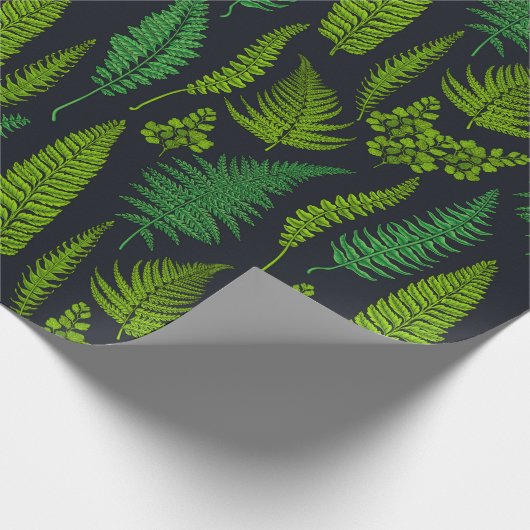 Ferns Cadeaupapier (Hoek)