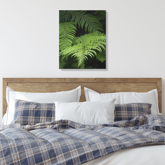 Ferns Canvas Afdruk (Insitu (Slaapkamer))
