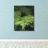 Ferns Canvas Afdruk (Insitu (Houten vloer))
