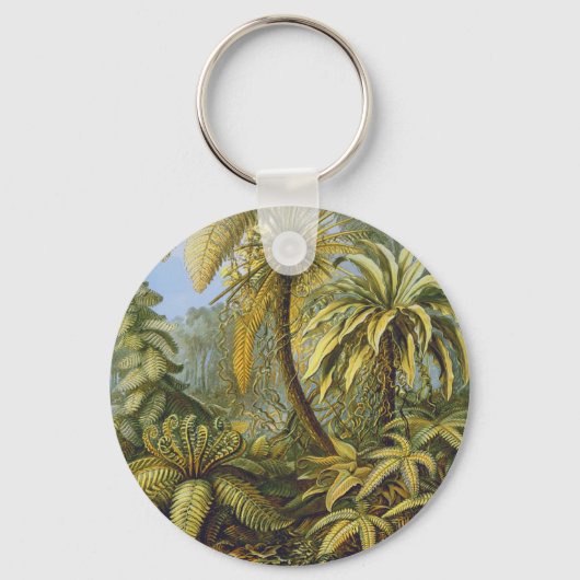 Ferns Ernst Haeckel Fine Art Sleutelhanger (Voorkant)