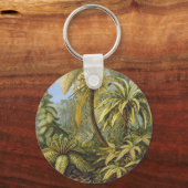 Ferns Ernst Haeckel Fine Art Sleutelhanger (Voorkant)