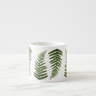 Ferns Espresso Kop