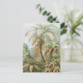 Ferns, Filicinae Laubfarne door Ernst Haeckel Briefkaart (Staand voorkant)