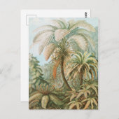 Ferns, Filicinae Laubfarne door Ernst Haeckel Briefkaart (Voorkant / Achterkant)