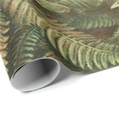 Ferns, Filicinae Laubfarne door Ernst Haeckel Cadeaupapier (Rol Hoek)