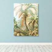Ferns, Filicinae Laubfarne door Ernst Haeckel Canvas Afdruk (Insitu (Houten vloer))