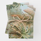 Ferns, Filicinae Laubfarne door Ernst Haeckel Inpakpapier Vel (In situ)