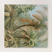 Ferns, Filicinae Laubfarne door Ernst Haeckel Legpuzzel (Horizontaal)