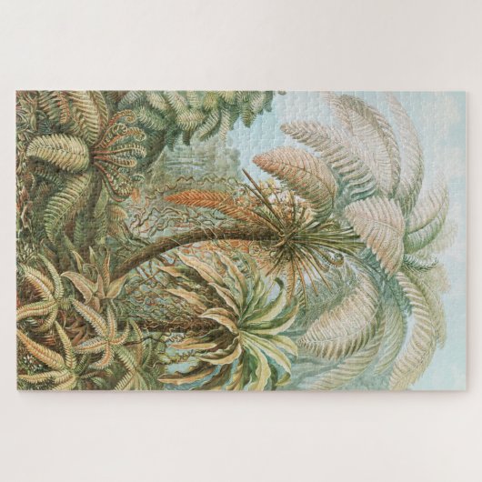 Ferns, Filicinae Laubfarne door Ernst Haeckel Legpuzzel (Horizontaal)