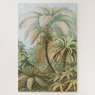 Ferns, Filicinae Laubfarne door Ernst Haeckel Legpuzzel