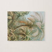 Ferns, Filicinae Laubfarne door Ernst Haeckel Legpuzzel (Horizontaal)