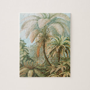 Ferns, Filicinae Laubfarne door Ernst Haeckel Legpuzzel