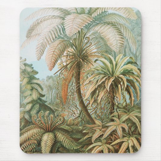 Ferns, Filicinae Laubfarne door Ernst Haeckel Muismat (Voorkant)