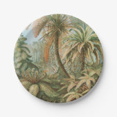 Ferns, Filicinae Laubfarne door Ernst Haeckel Papieren Bordje (Voorkant)