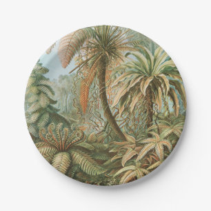 Ferns, Filicinae Laubfarne door Ernst Haeckel Papieren Bordje