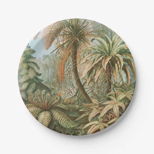 Ferns, Filicinae Laubfarne door Ernst Haeckel Papieren Bordje (Voorkant)