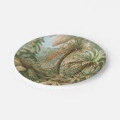 Ferns, Filicinae Laubfarne door Ernst Haeckel Papieren Bordje (Gekanteld)