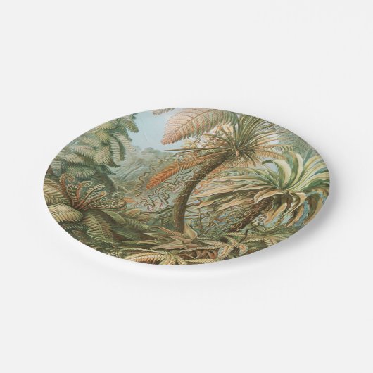 Ferns, Filicinae Laubfarne door Ernst Haeckel Papieren Bordje (Gekanteld)