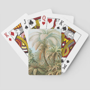 Ferns, Filicinae Laubfarne door Ernst Haeckel Pokerkaarten
