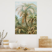 Ferns, Filicinae Laubfarne door Ernst Haeckel Poster (Keuken)