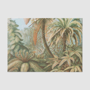 Ferns, Filicinae Laubfarne door Ernst Haeckel Tissuepapier