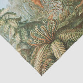 Ferns, Filicinae Laubfarne door Ernst Haeckel Tissuepapier (Detail)