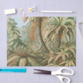 Ferns, Filicinae Laubfarne door Ernst Haeckel Tissuepapier (Craft)