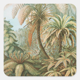 Ferns, Filicinae Laubfarne door Ernst Haeckel Vierkante Sticker
