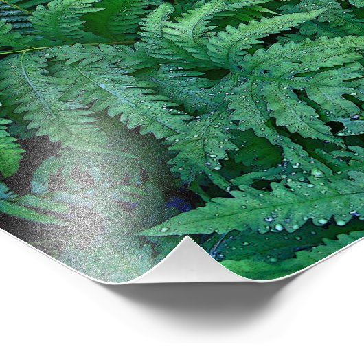 Ferns: Fotopapier Foto Afdruk (Hoek)