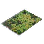 Ferns-gebied Notitieboek (Linkerzijde)