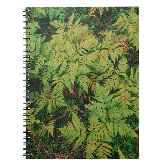 Ferns-gebied Notitieboek (Voorkant)