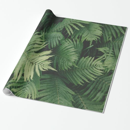 Ferns in Cool Green Shade Cadeaupapier (Uitgerold)