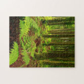 Ferns in het bos legpuzzel (Horizontaal)