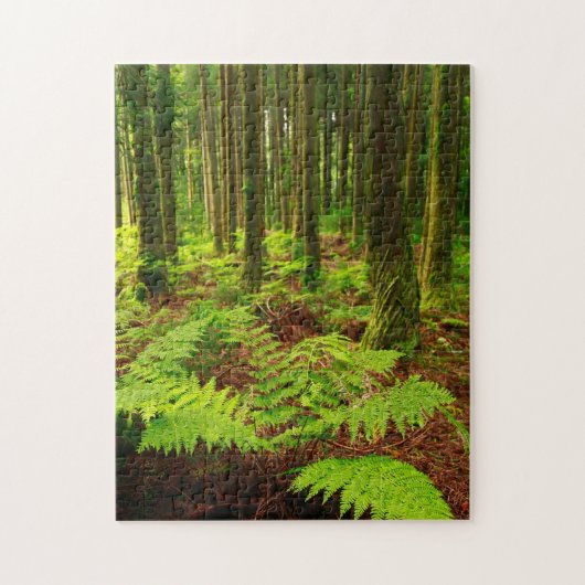 Ferns in het bos legpuzzel (Verticaal)