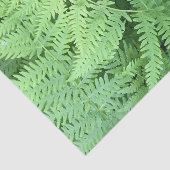 Ferns in het bos tissuepapier (Detail)