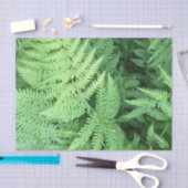 Ferns in het bos tissuepapier (Craft)