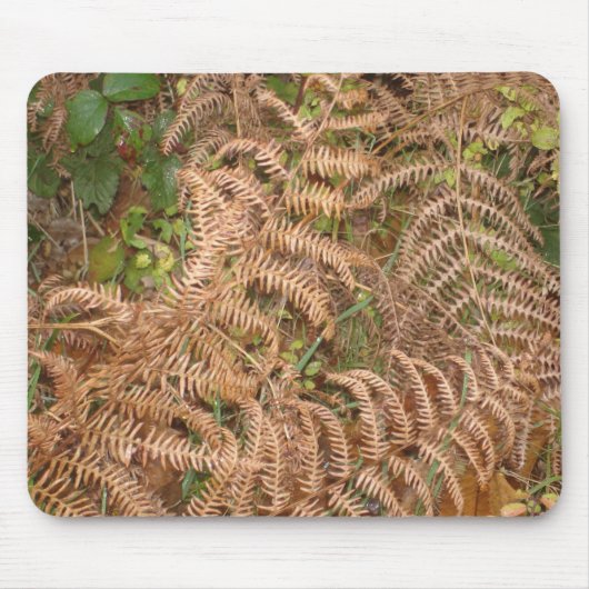 Ferns in het najaar muismat (Voorkant)