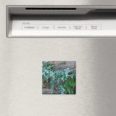 Ferns in Philadelphia Magneet (Insitu (Vaatwasser))