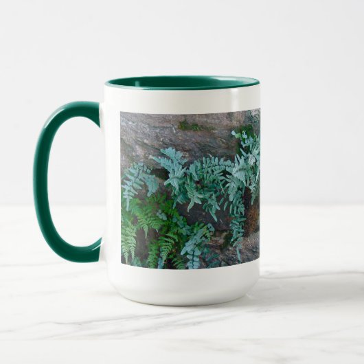 Ferns in Philadelphia Mok (Links)